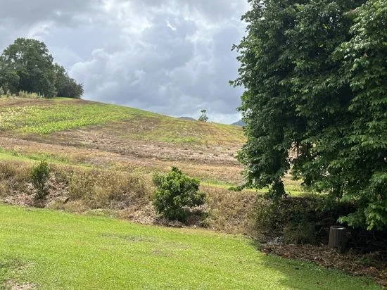 Additional image 24 of 125 Utchee Creek Road, Mena Creek QLD 4871