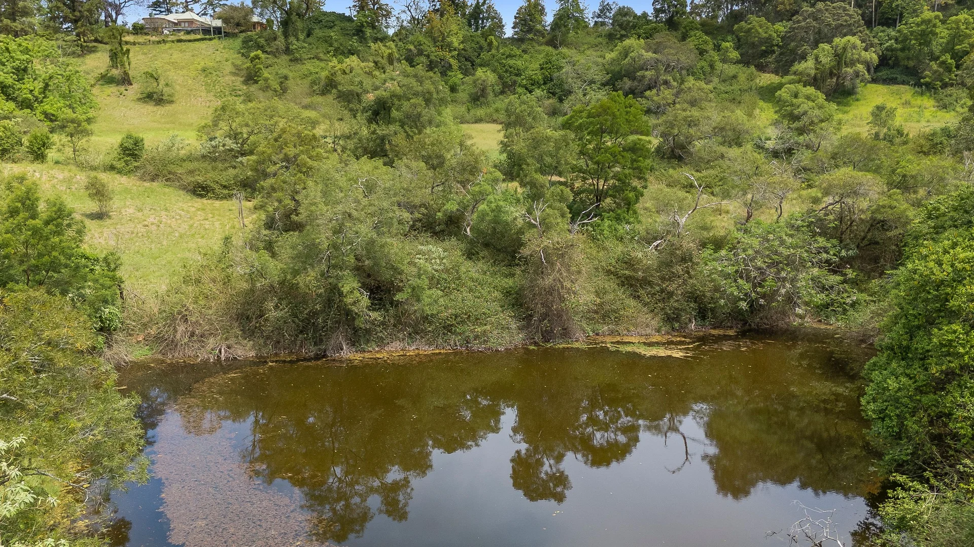 Additional image 31 of 816 Grose Vale Road, Grose Vale NSW 2753