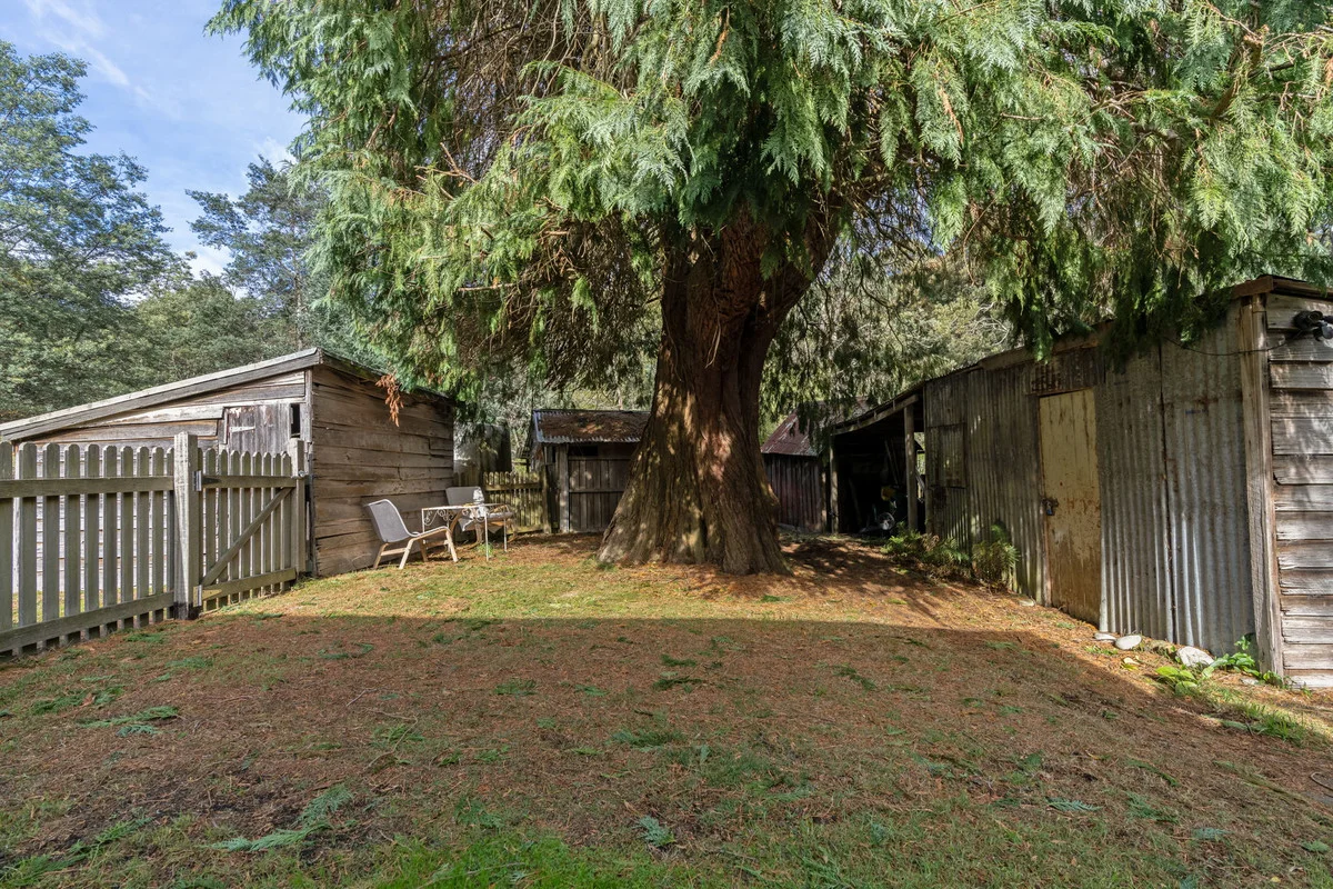 Additional image 24 of 32267 Tasman Highway, Derby TAS 7264