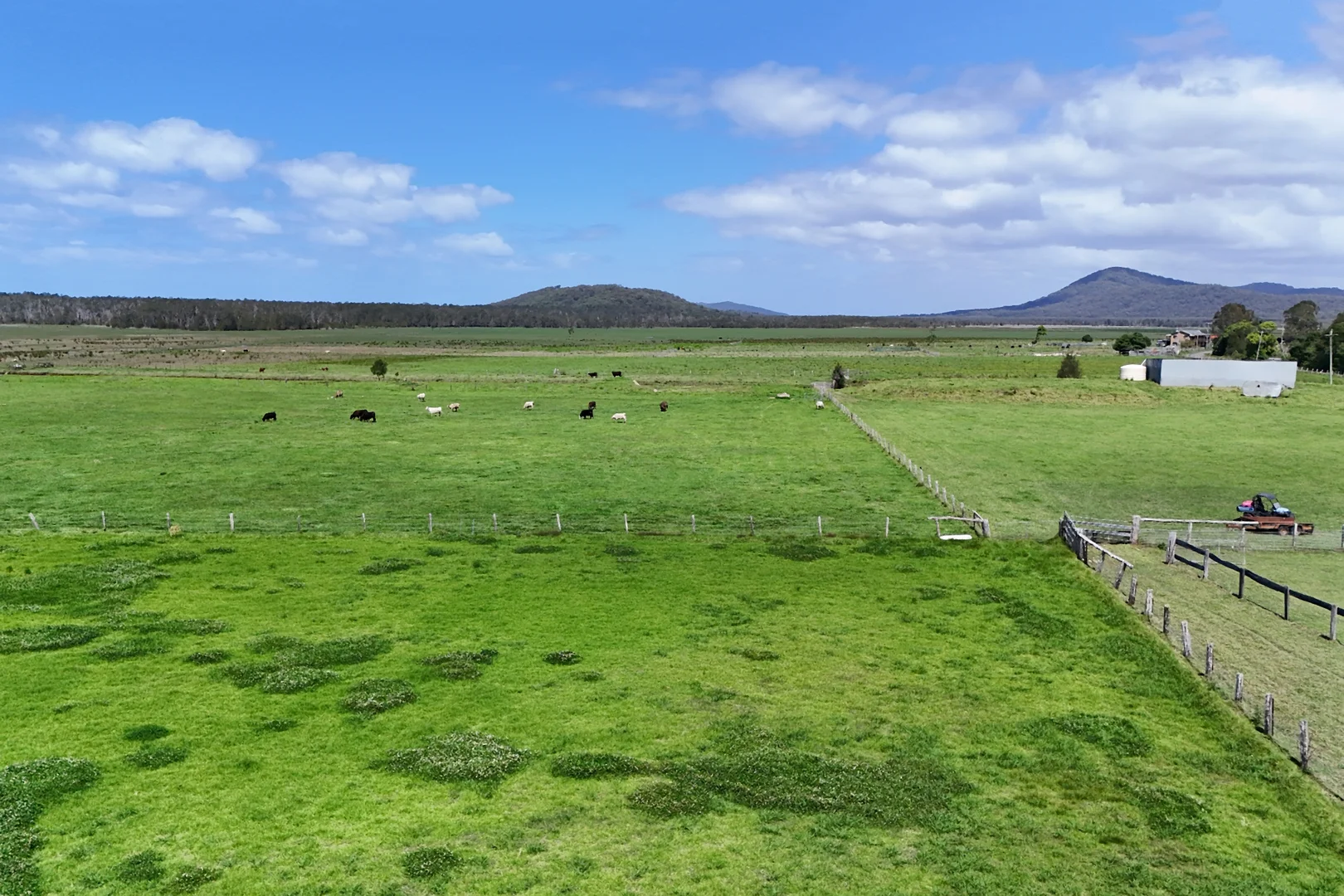 Additional image 34 of 1415 Belmore River Right Bank Road, Belmore River NSW 2440