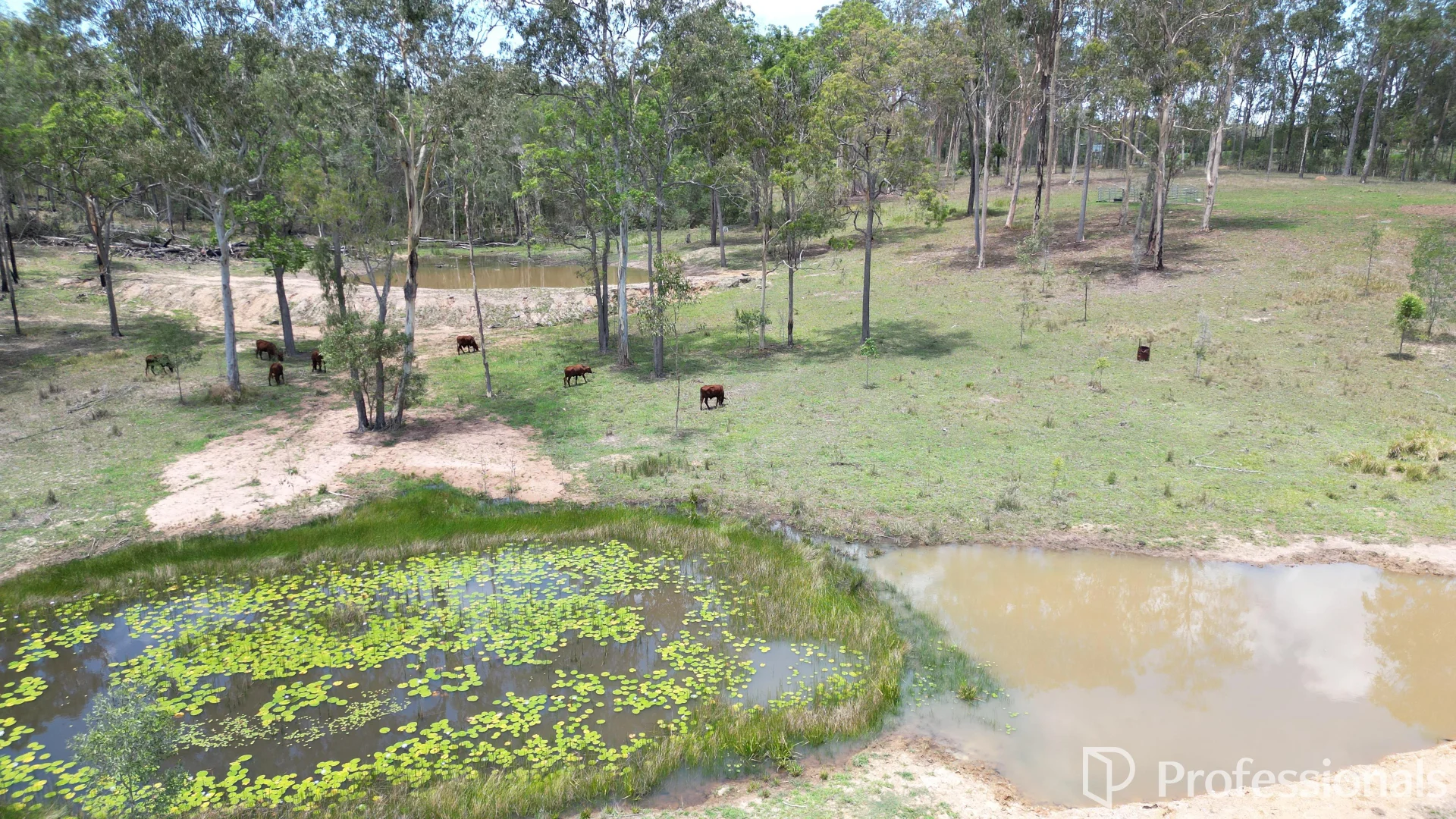 Additional image 5 of Lot 1 Old Gympie Road, Owanyilla QLD 4650