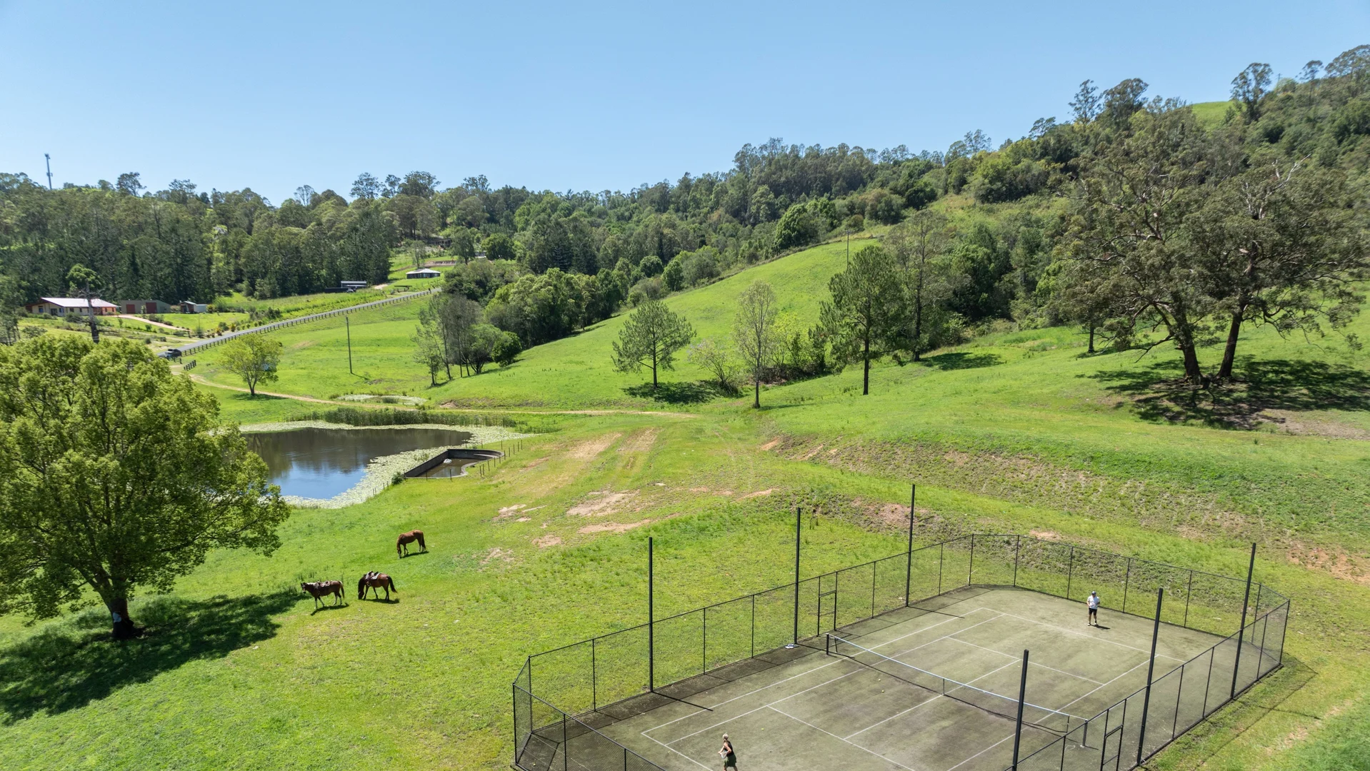 Additional image 27 of 2981 Kyogle Road, Kunghur NSW 2484