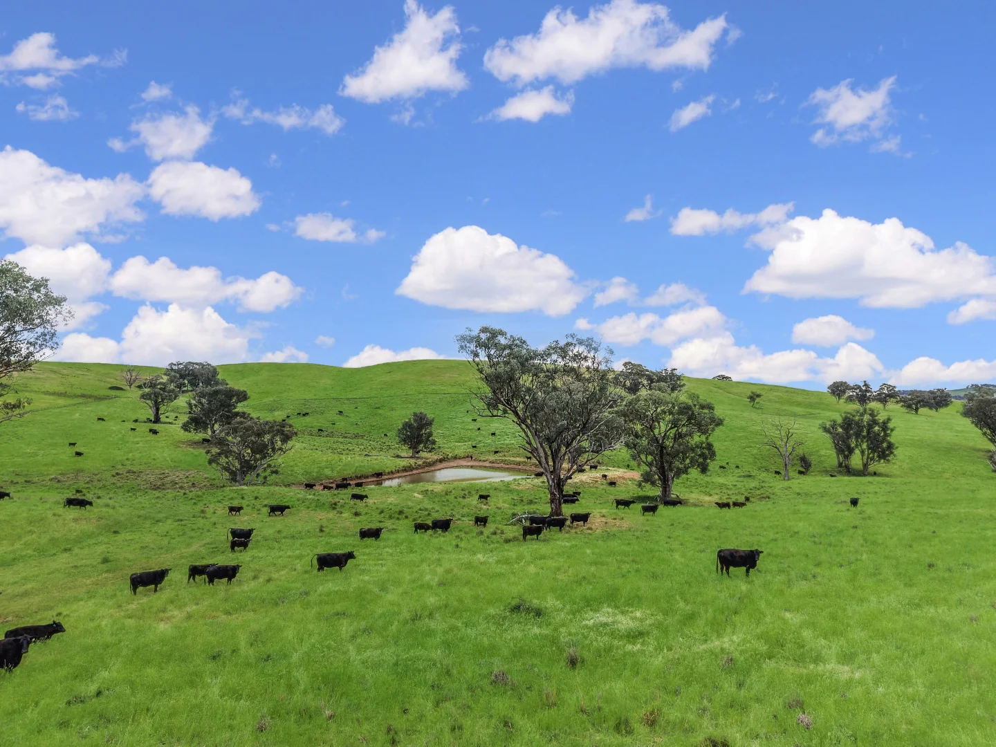 Additional image 28 of 'horse Gully' Old Waugoola Road, Woodstock NSW 2793