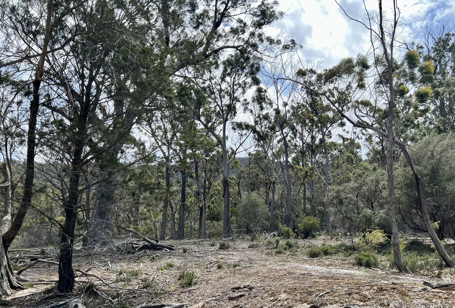 Additional image 24 of 3 Leona Road, Avoca TAS 7213