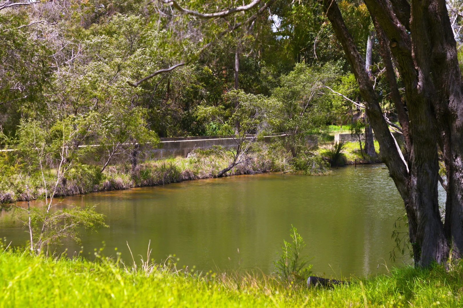 Additional image 19 of Lot PL 2/1120 Wildwood Road, Yallingup Siding WA 6282