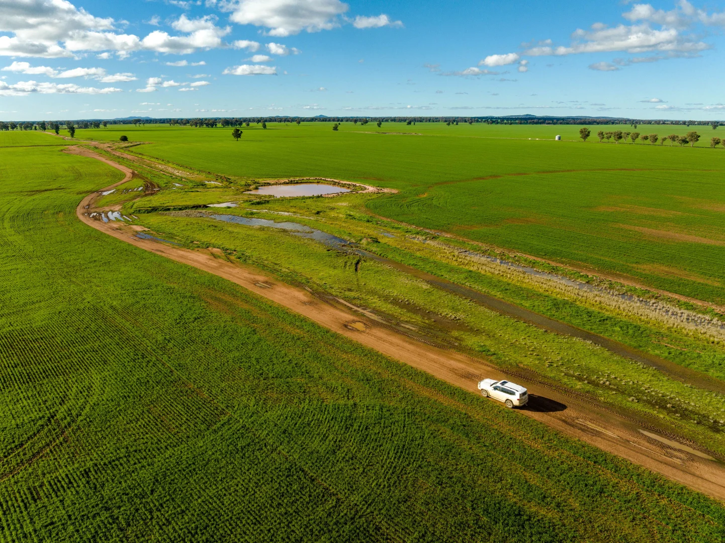 Additional image 12 of 795 Younga Plains Rd, West Wyalong NSW 2671