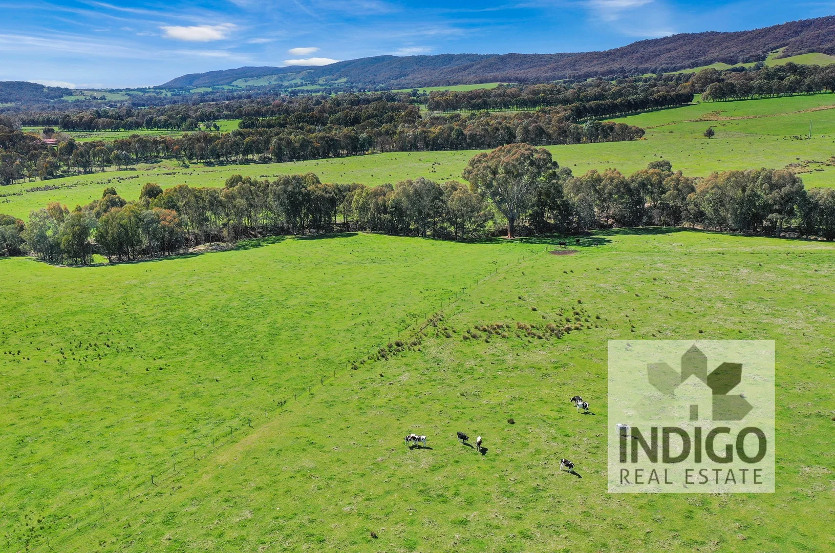 Additional image 28 of 180 Fanning Lane, Wooragee VIC 3747