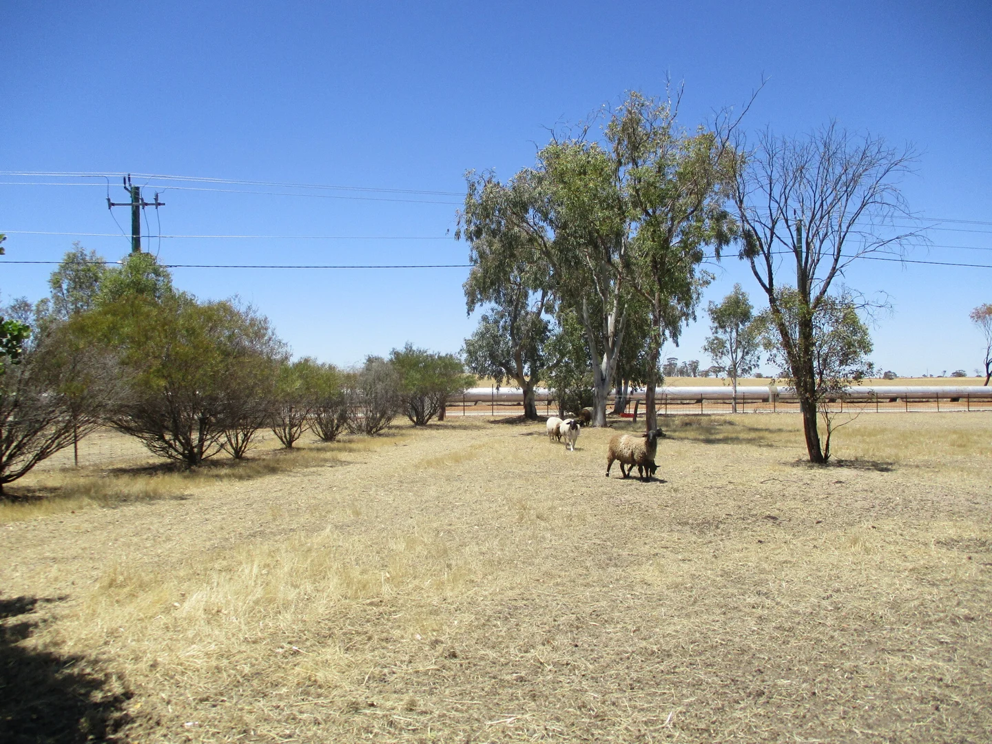 Additional image 27 of 7 Johnston Street, Meckering WA 6405