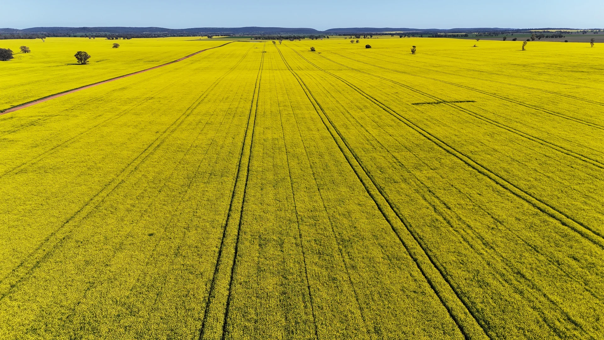 Additional image 3 of 2459 The Bogan Way, Parkes NSW 2870