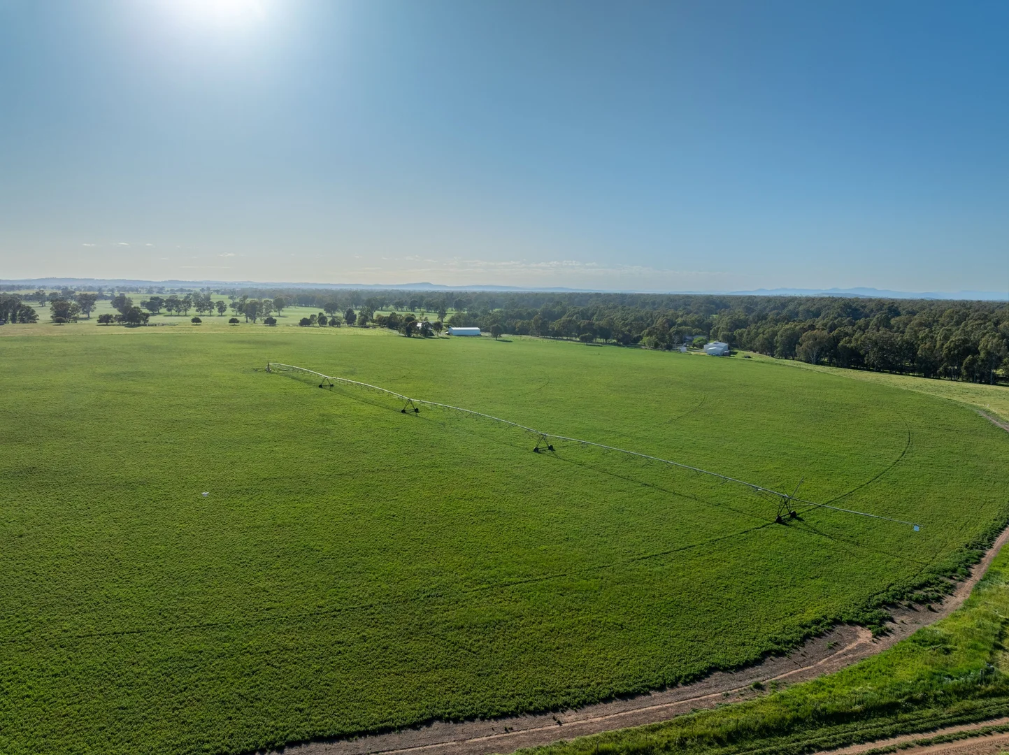 Additional image 4 of 6021 Riverina Highway, Hopefield NSW 2646