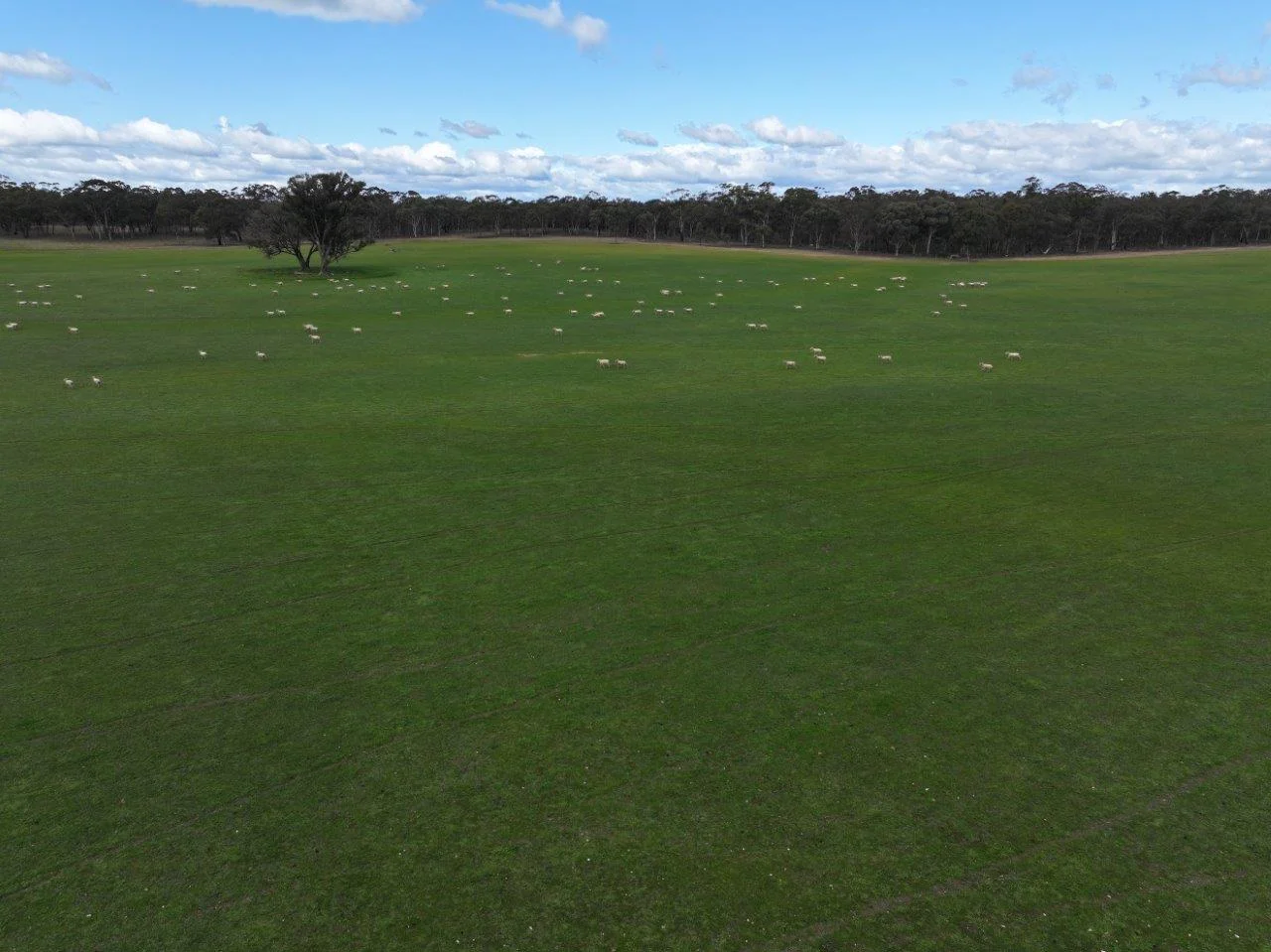 Additional image 19 of 457 Scenic Road, Eddington VIC 3472