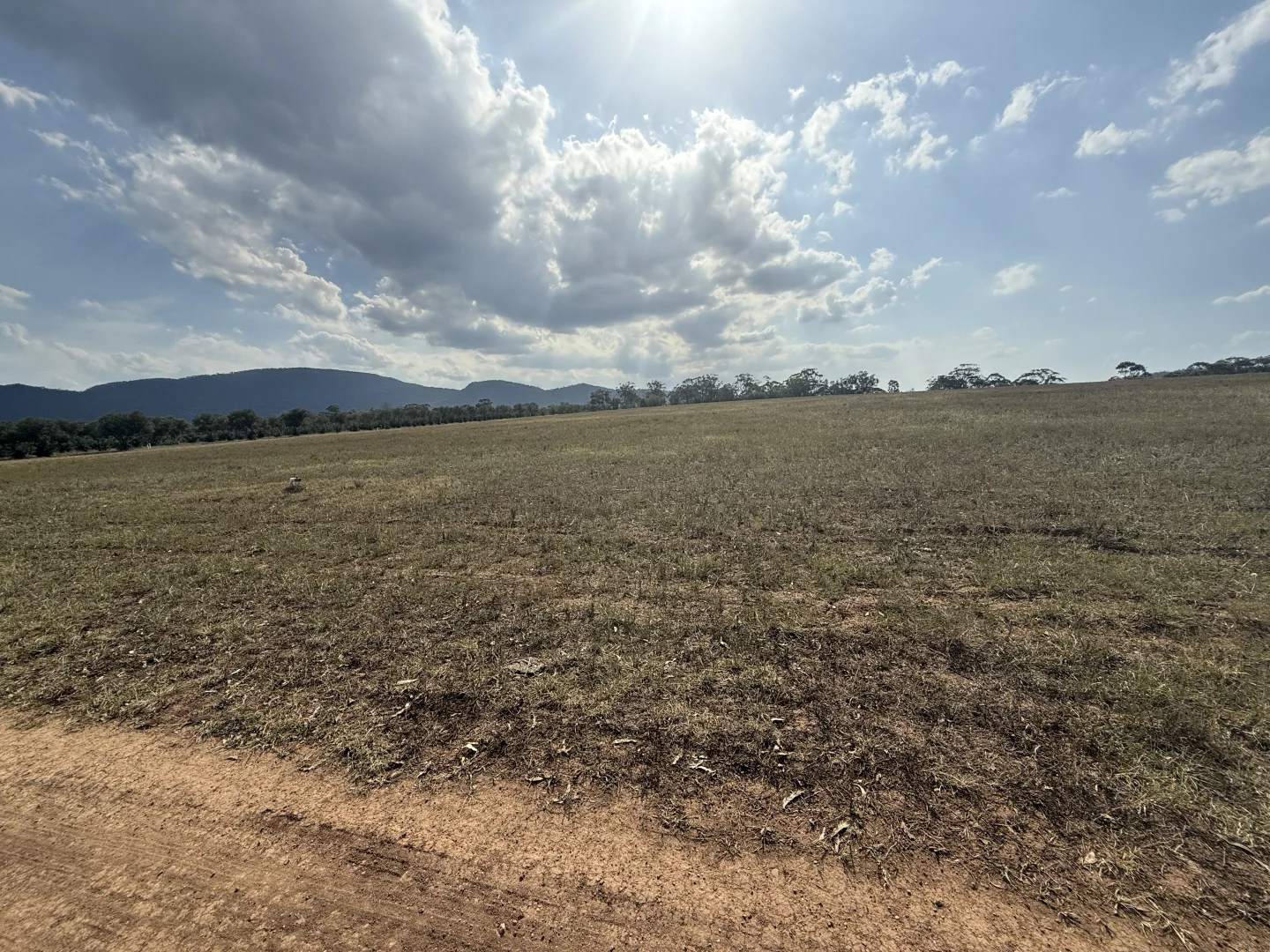 Additional image 44 of 207 Redmanvale Road, Jerrys Plains NSW 2330