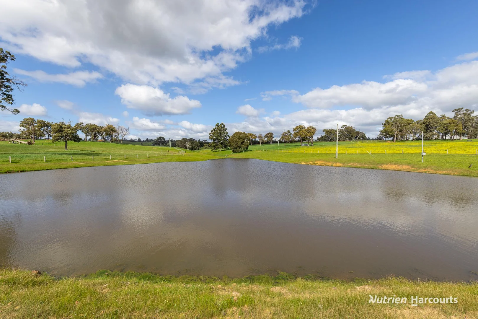 Additional image 18 of 279 Giumelli Road, Henty WA 6236