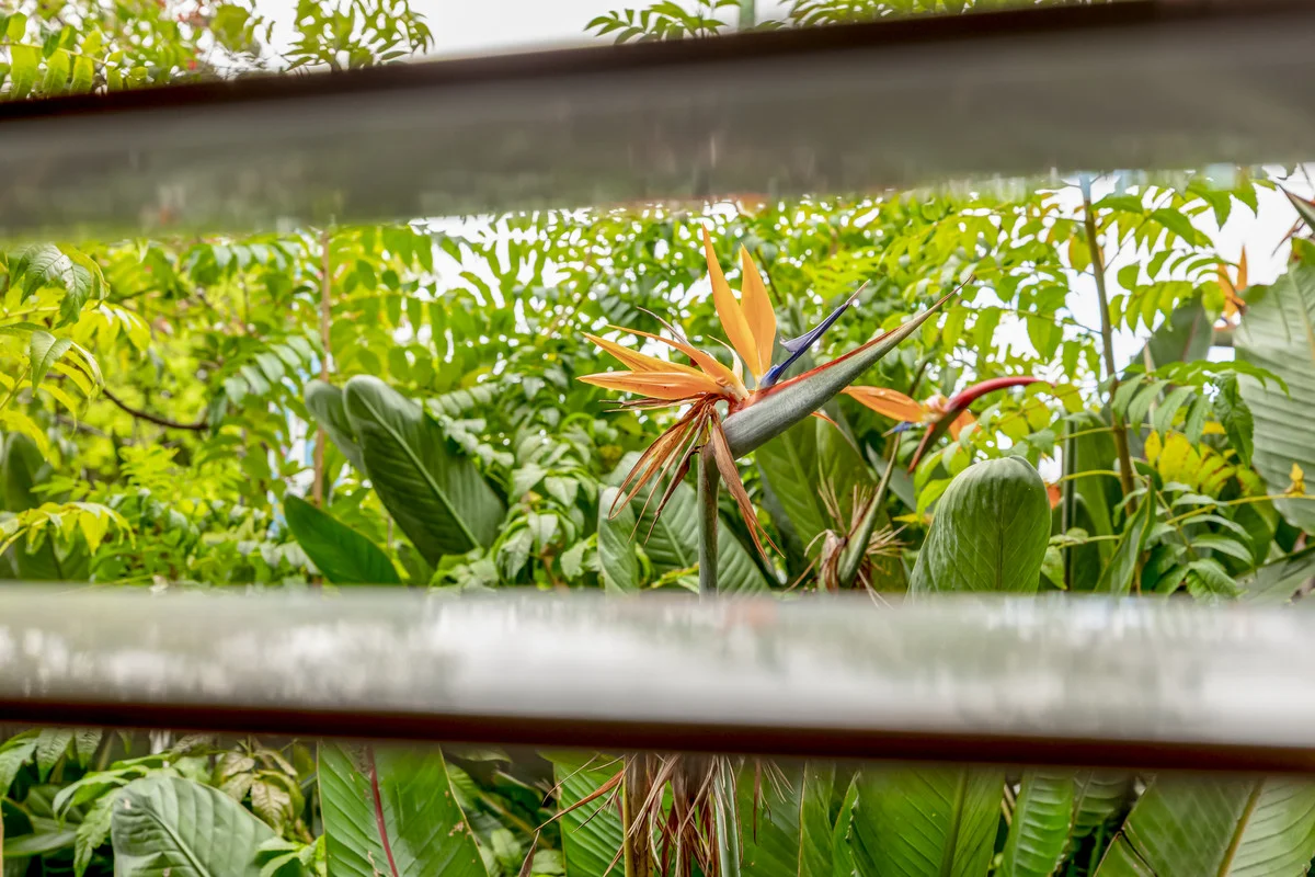 Additional image 14 of 108/94-96 Main Street, Montville QLD 4560