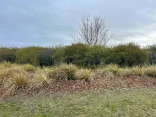 Additional image 7 of 12 MOLLISON ST MALMSBURY, Malmsbury VIC 3446