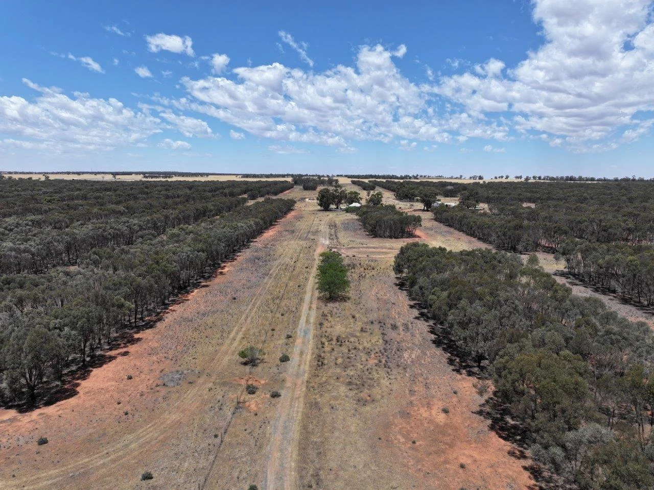 Additional image 11 of 'Corio' 343 Lees Lane, Alleena NSW 2671