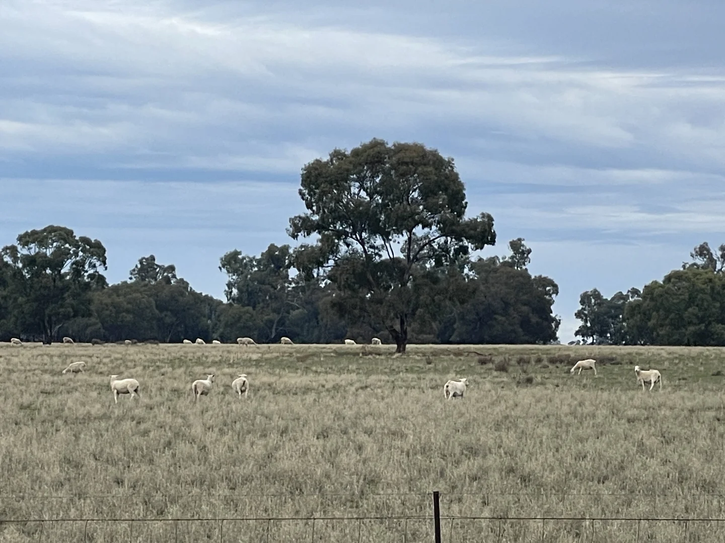 Additional image 2 of 'East Gathan' 509 Gathan Road, Deniliquin NSW 2710