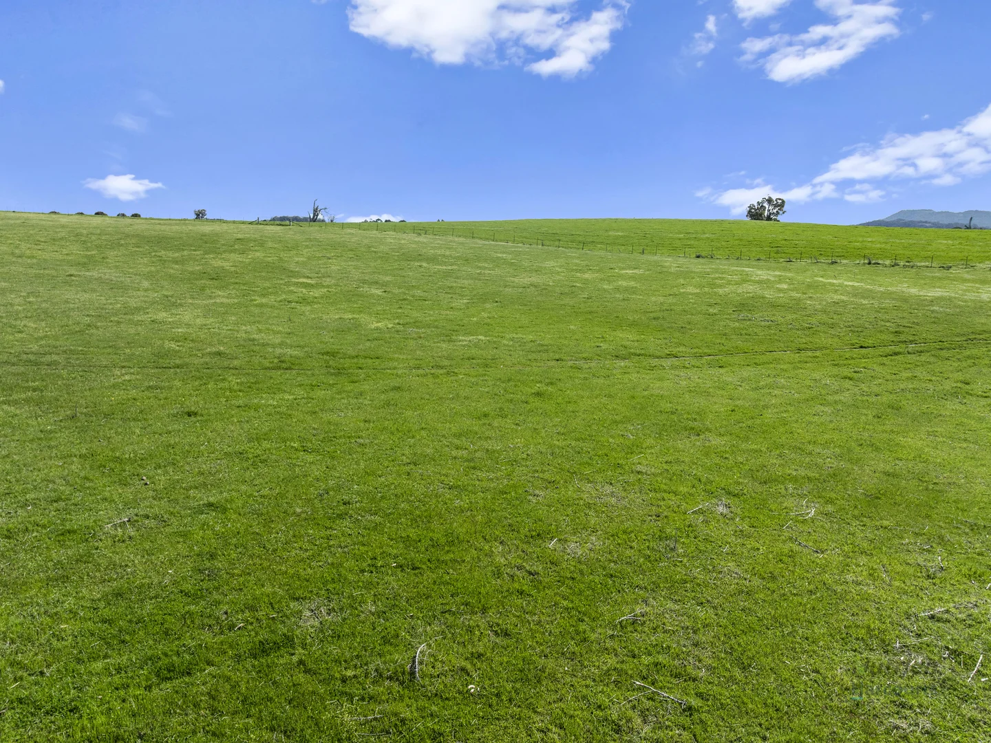 Additional image 11 of 99 Tames Road, Strathbogie VIC 3666