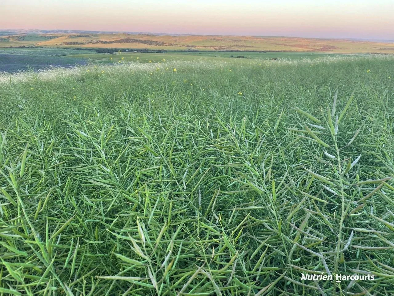 Additional image 10 of Lot 4 Larard Road, Sandy Gully WA 6535