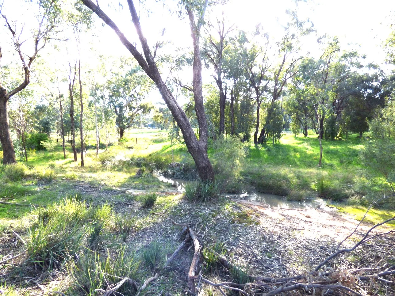 Additional image 5 of 48 Dudauman St, Stockinbingal NSW 2725