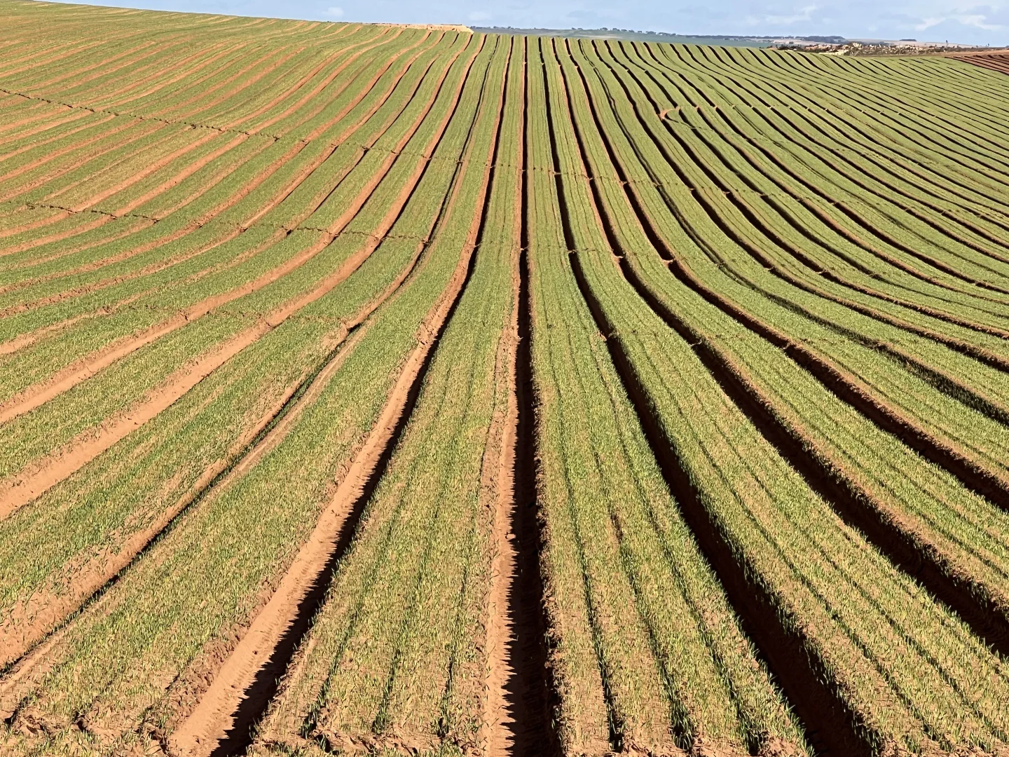 Additional image 2 of 66 Morrell Road, Bowhill SA 5238