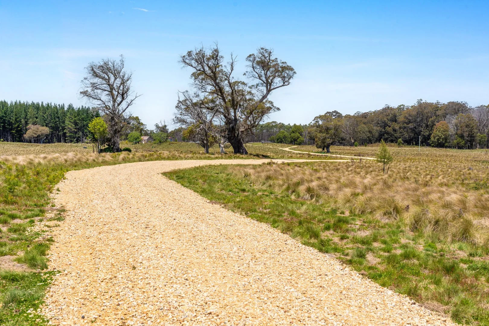 Additional image 6 of Thornleigh Coolangubra Road, Cathcart NSW 2632