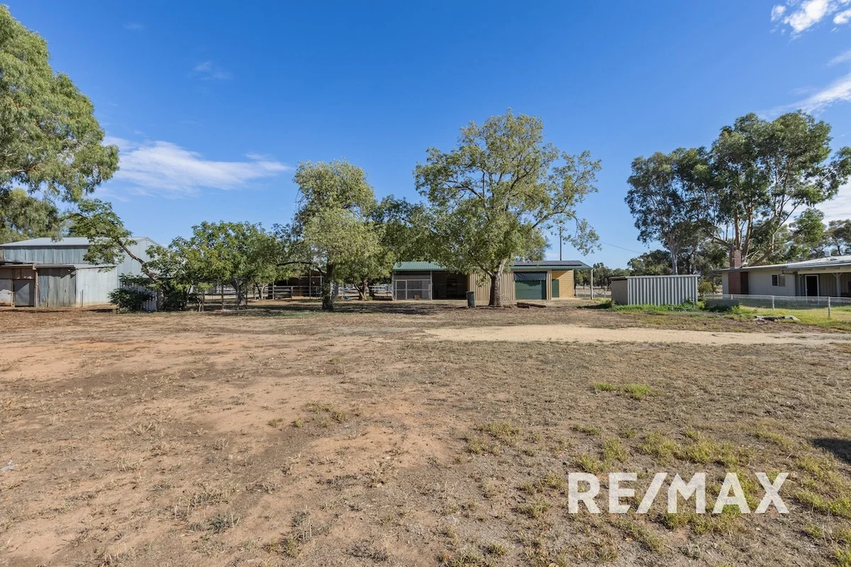 Additional image 16 of 2463 Sturt Highway, Collingullie NSW 2650