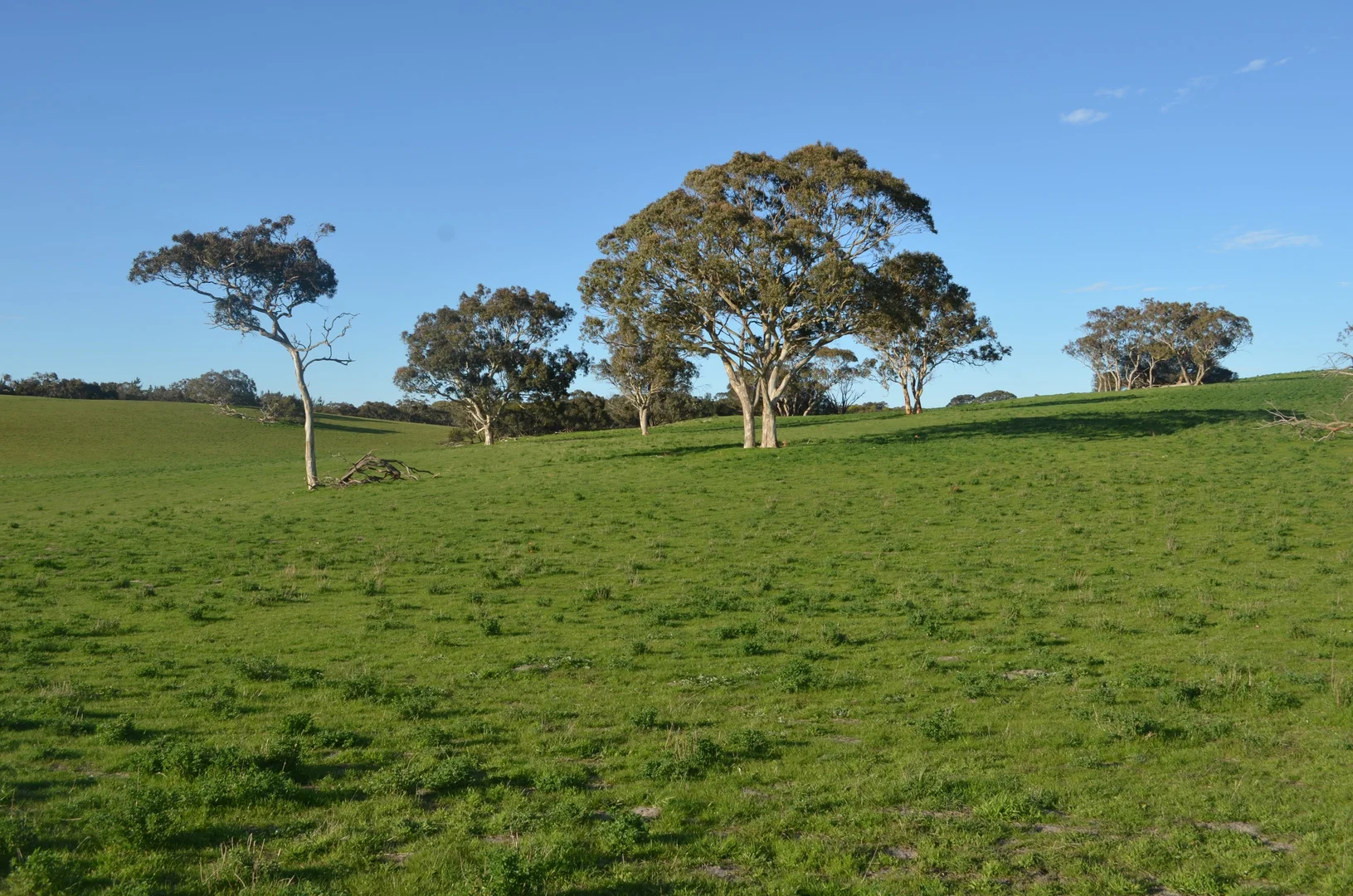 Additional image 10 of Lot 296 Beggs Road, Avenue Range SA 5273