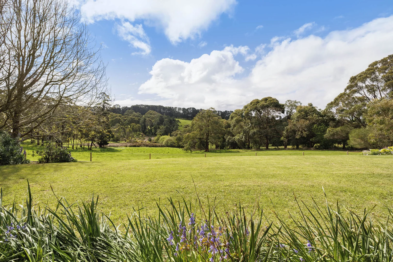 Additional image 4 of 210 Red Hill Road, Red Hill VIC 3937