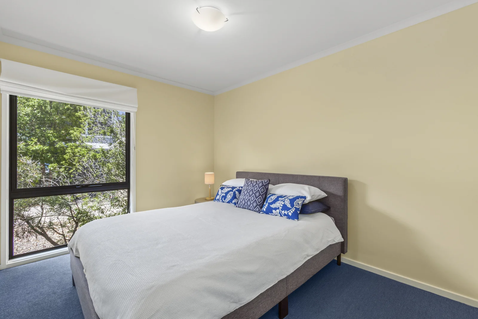 Additional image 12 of 18A Elizabeth Street, Anglesea VIC 3230