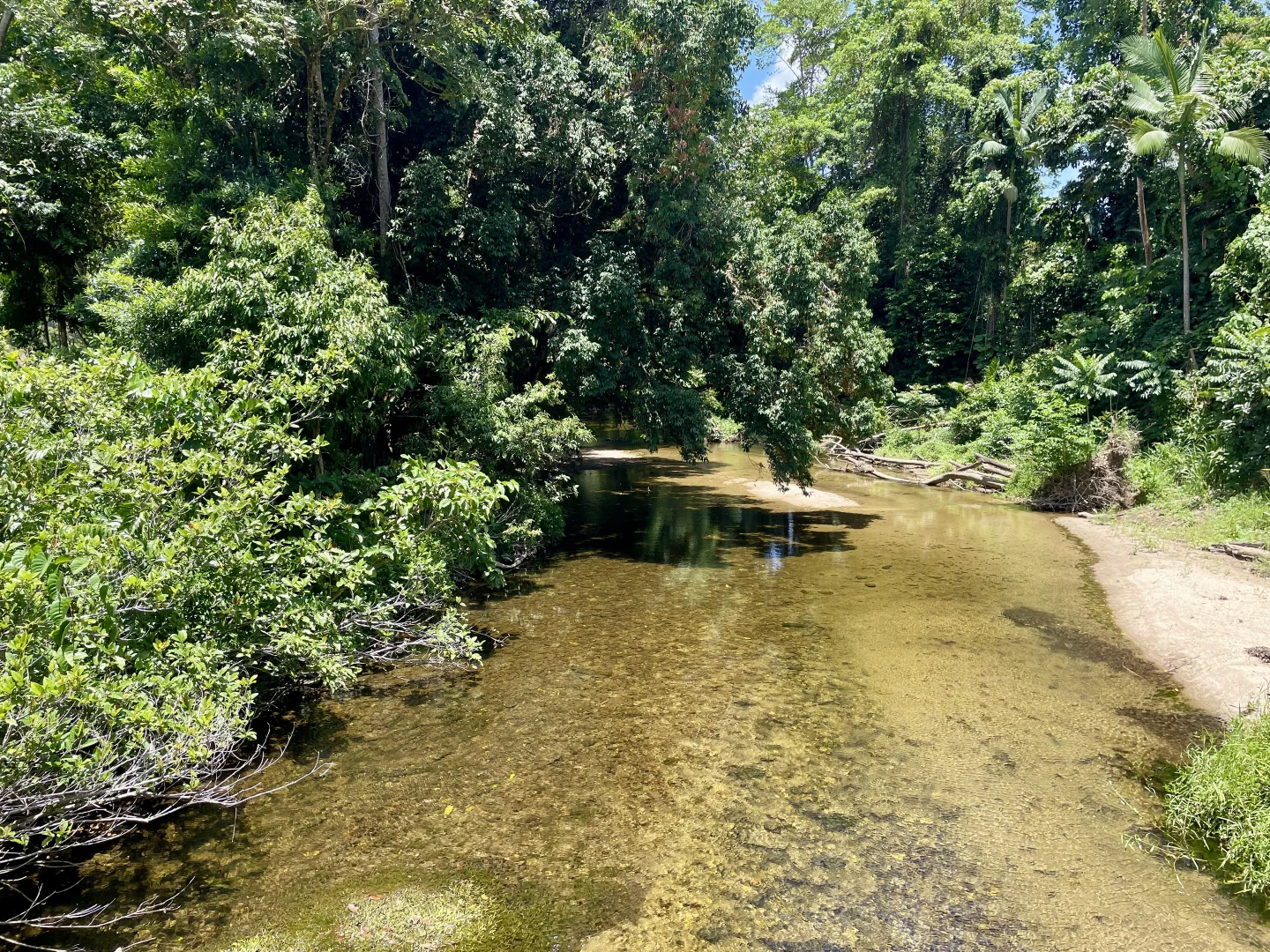 Additional image 13 of Lot 5 Whyanbeel Road, Whyanbeel, Mossman QLD 4873