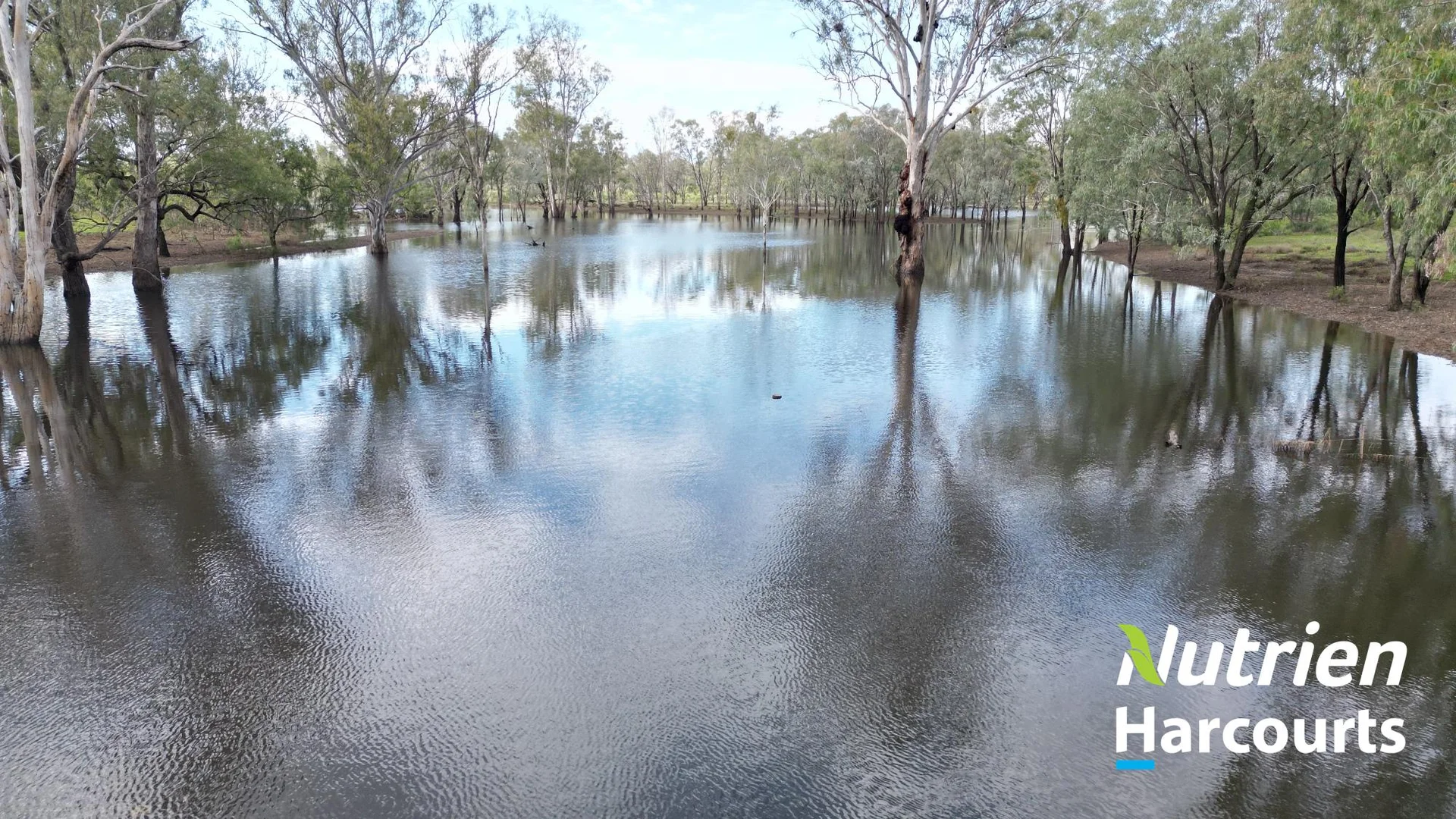 Additional image 29 of 7 Mullers Road, Chinchilla QLD 4413