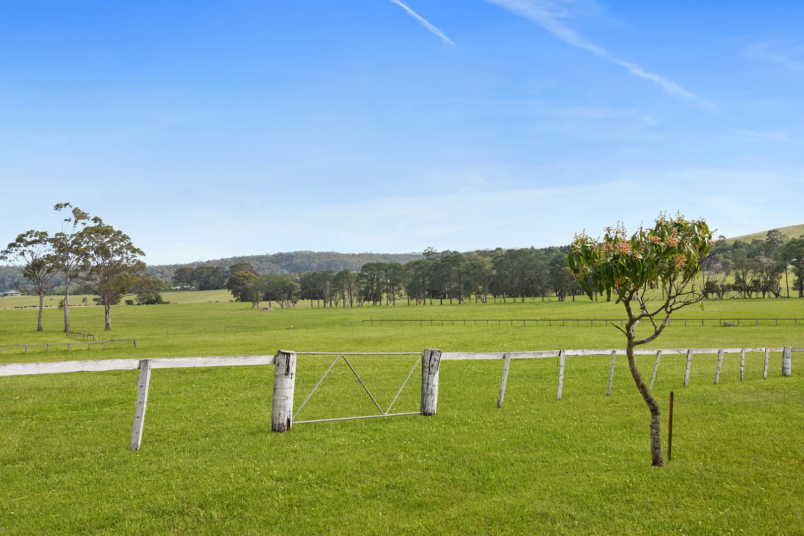 Additional image 6 of 140B Bryces Road, Far Meadow NSW 2535