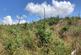 Additional image 9 of Achnaba Forest, Lochgilphead, Argyll and Bute
