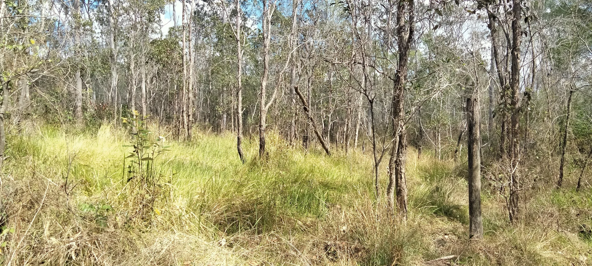 Additional image 19 of 3359 Lowmead Road, Lowmead QLD 4676