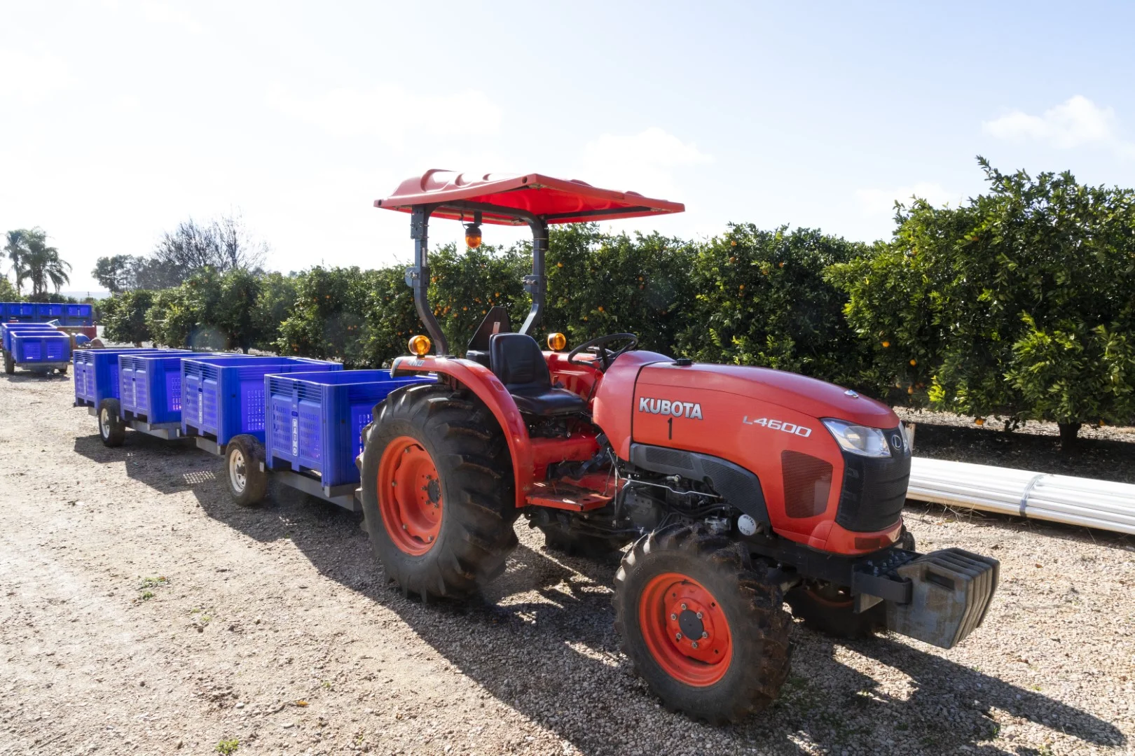 Additional image 23 of 203 Payten Road, Corbie Hill NSW 2705