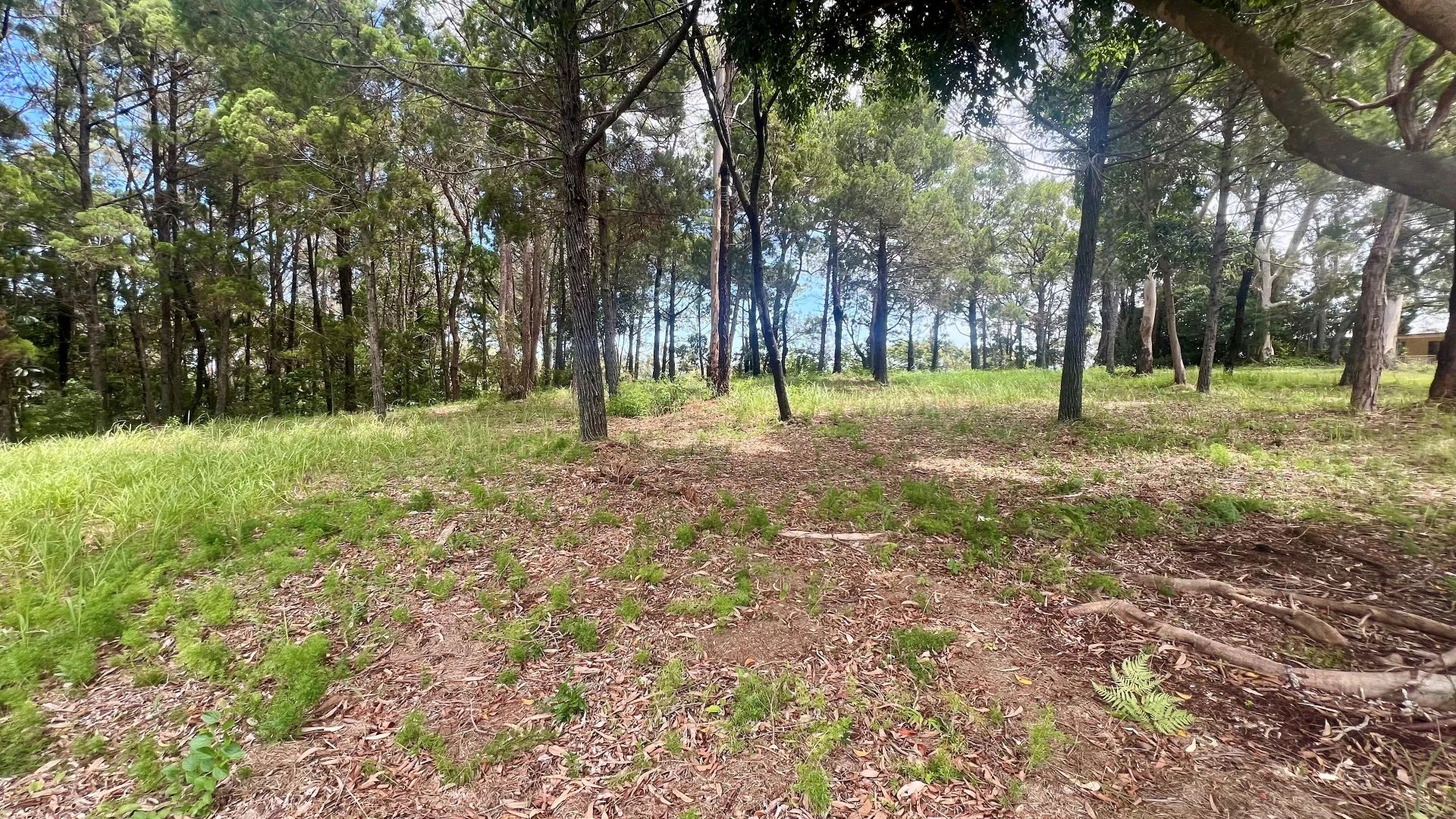 Additional image 3 of 48 Western Road, Macleay Island QLD 4184