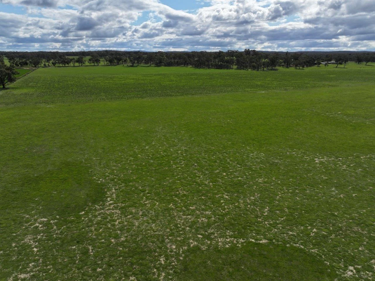 Additional image 7 of 457 Scenic Road, Eddington VIC 3472