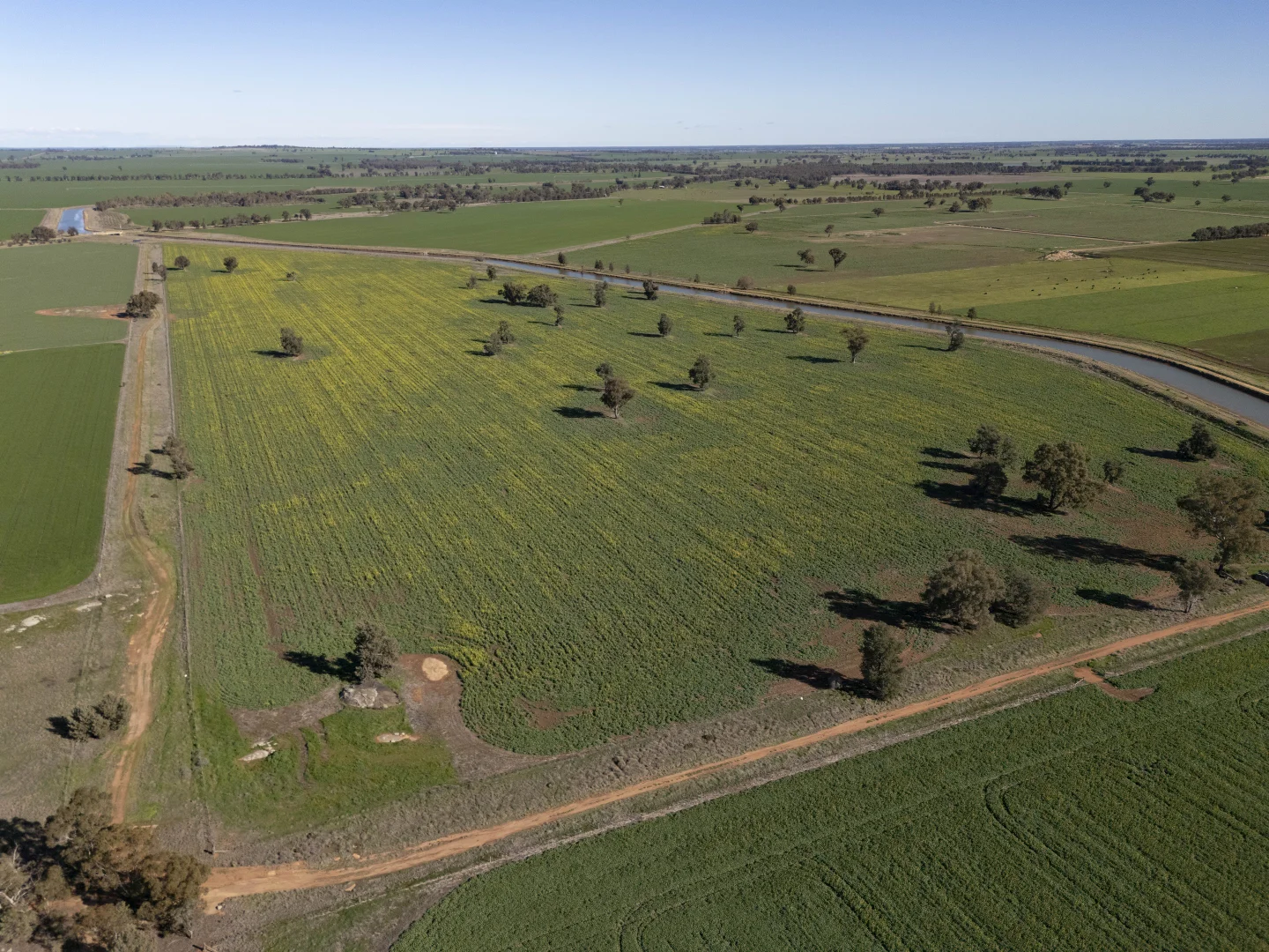 Additional image 35 of 2244 Berrigan Road, Berrigan NSW 2712