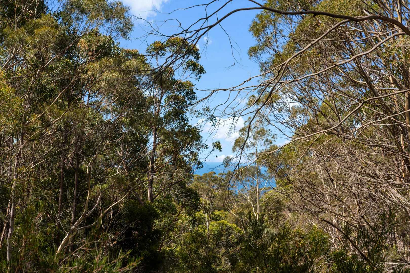 Additional image 30 of 108 Happy Valley Road, Spring Beach TAS 7190
