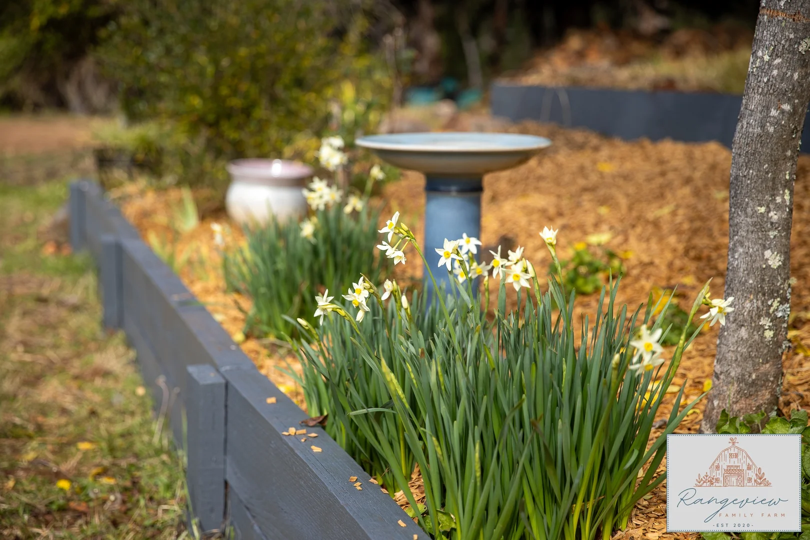 Additional image 18 of 16 Yarrowitch Post Office Road, Walcha NSW 2354