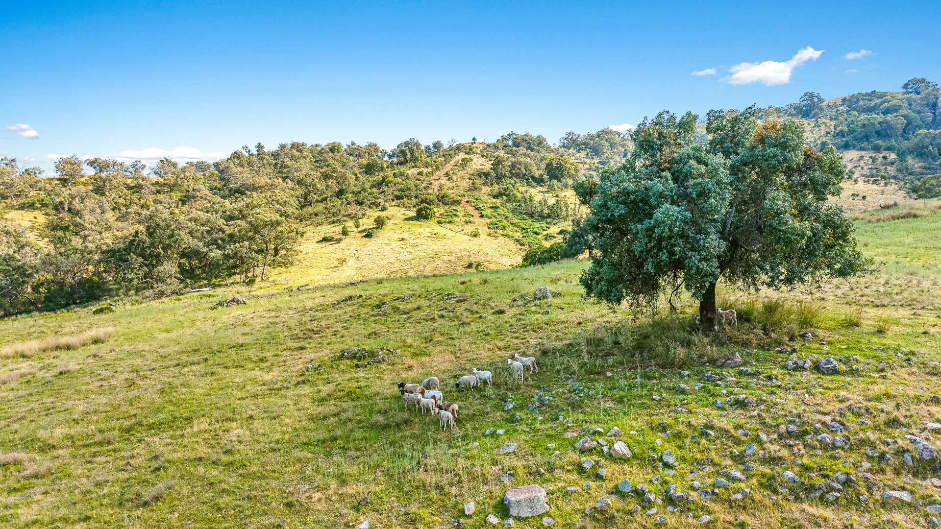 Additional image 18 of "Upper Forest View" 562 Wisemans Arm Road, Attunga NSW 2345