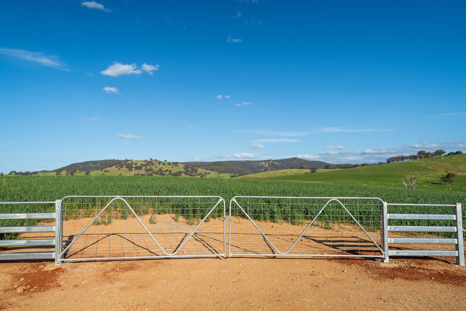 Additional image 7 of Lot 1/279 & Lot 2/281 Jingellic Road, Holbrook NSW 2644