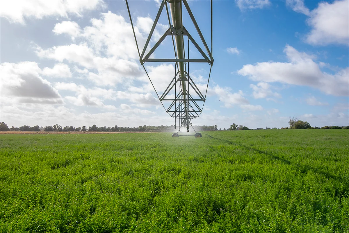 Additional image 6 of 1061 McEwen Road, Kyabram VIC 3620