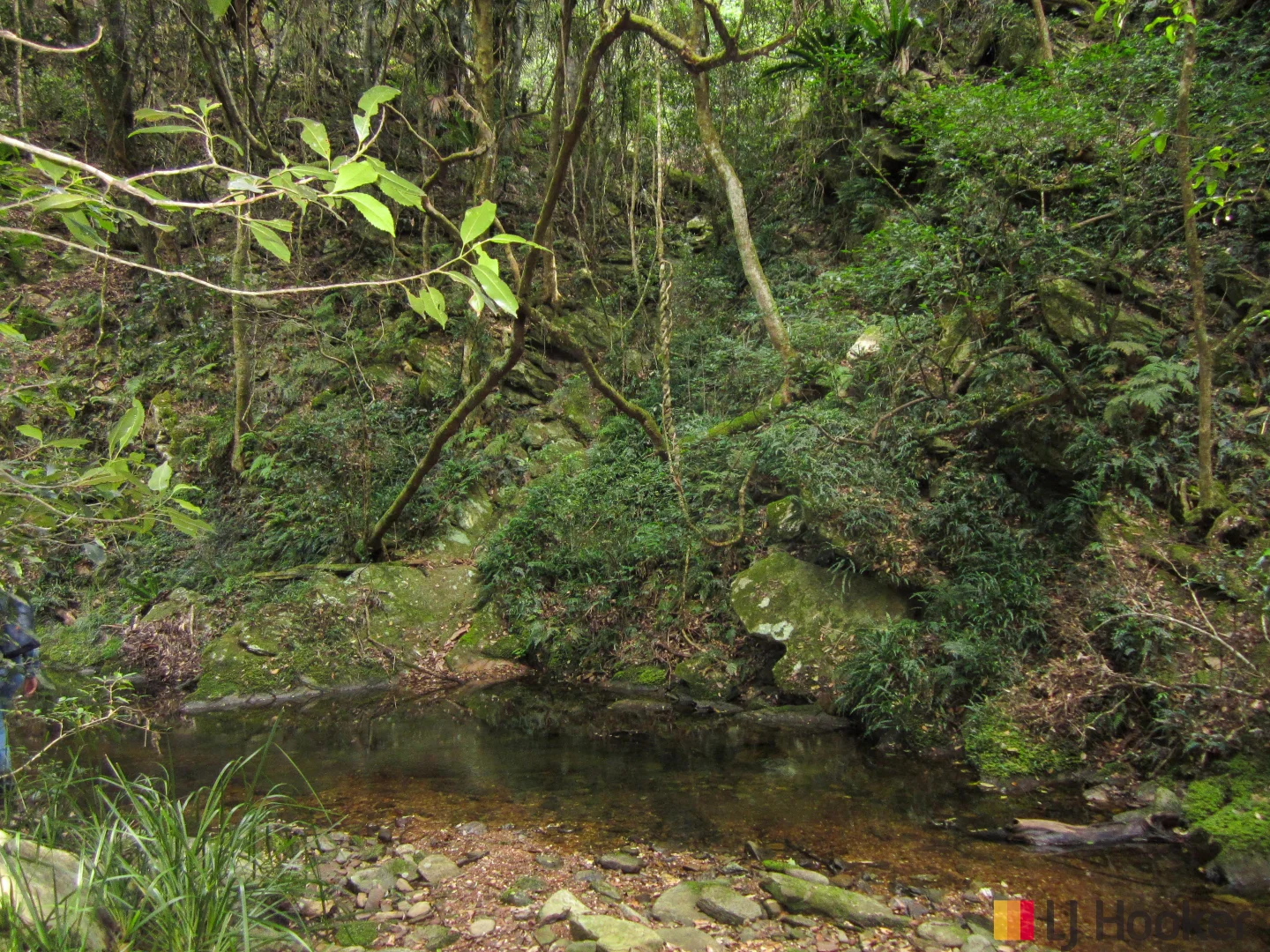 Additional image 12 of Lot 3 Pig Road, Currowan NSW 2536