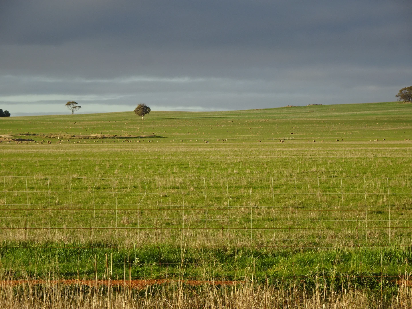 Additional image 6 of Lot 12520 Great Southern Highway, Woodanilling WA 6316