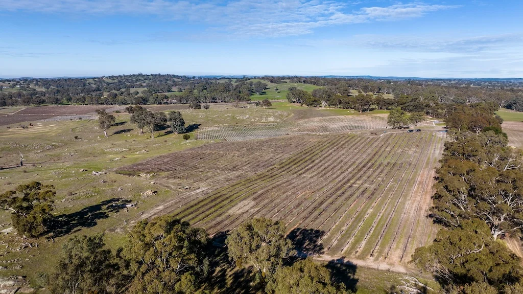 Additional image 36 of Peggy Hill Road, Eden Valley SA 5235