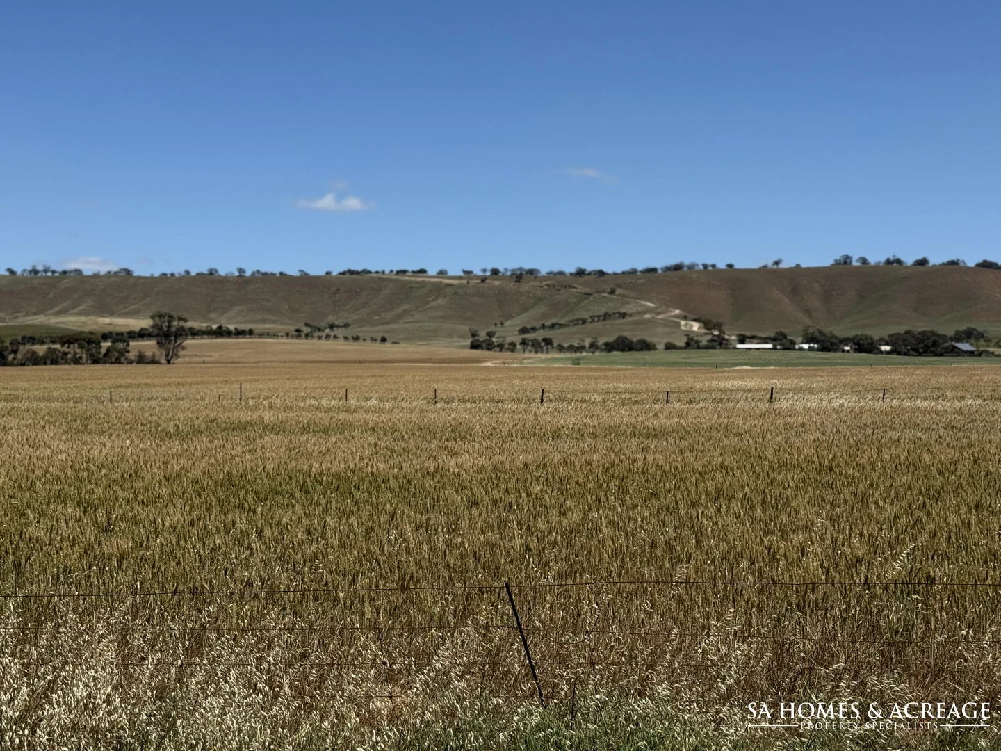 Additional image 7 of Section 407 & 408 Hills Road, Robertstown SA 5381