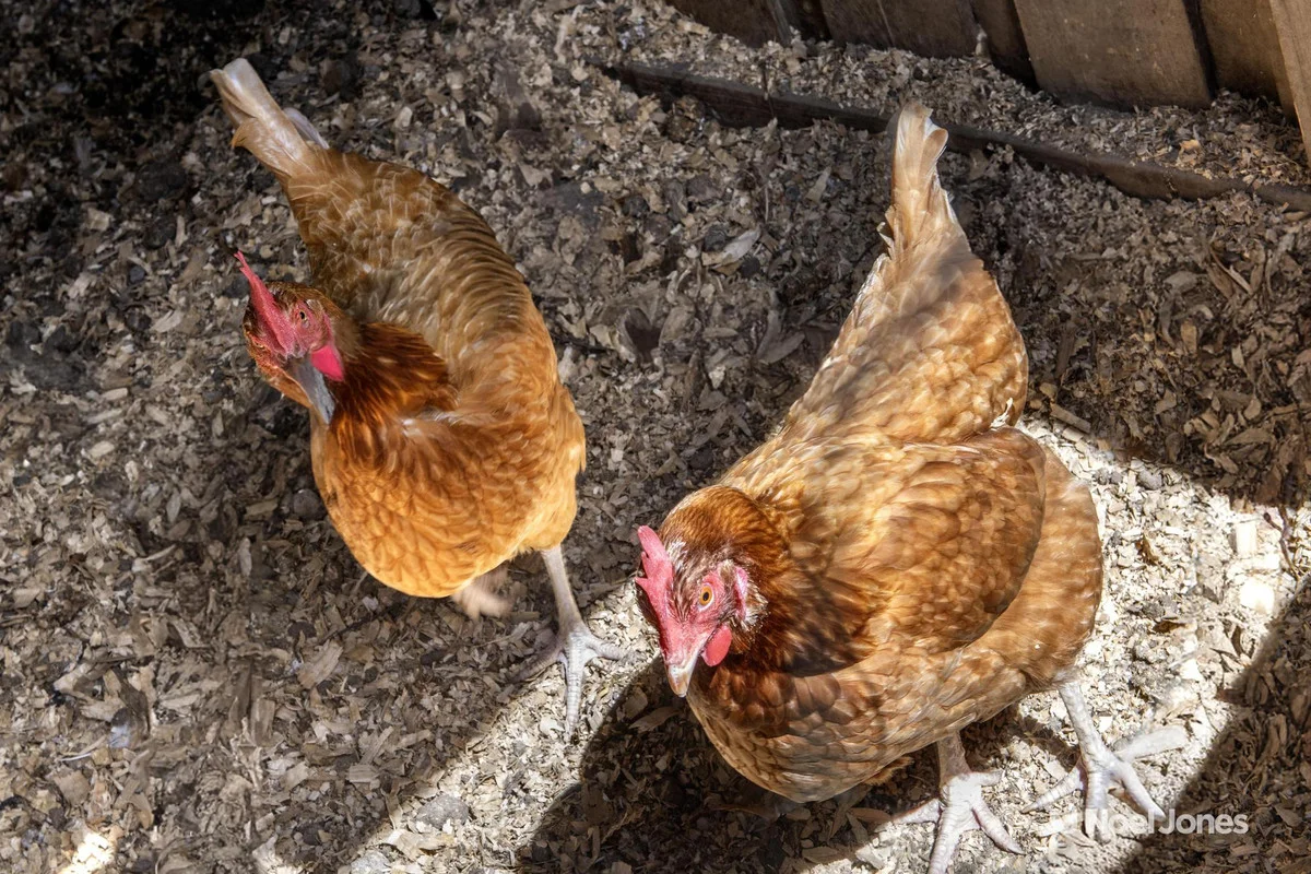 Additional image 7 of 175 Clegg Road, Mount Evelyn VIC 3796