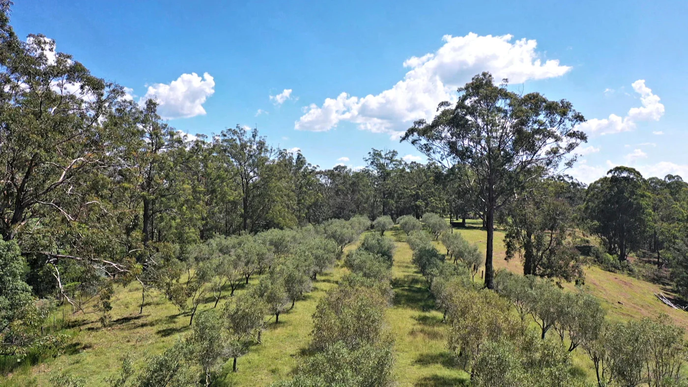Additional image 6 of 167 Middle Ridge Road, Wollombi NSW 2325